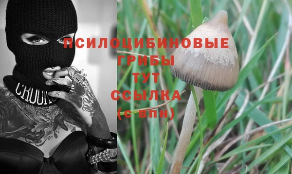ПСИЛОЦИБИНОВЫЕ ГРИБЫ Армянск