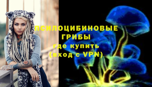 ПСИЛОЦИБИНОВЫЕ ГРИБЫ Армянск